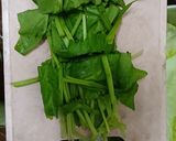 豆豉大陸妹炒菠菜的食譜步驟2照片
