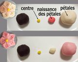 Une image de l'étape 4 de Nerikiri Wagashi: