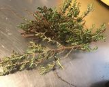 Une image de l'étape 12 de Marinade au cognac moutarde, herbes, épices et légumes (pour gibier).