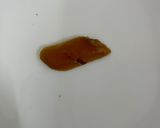 烏魚子的食譜步驟11照片