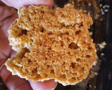 Foto del paso 7 de la receta: Galletitas de avena