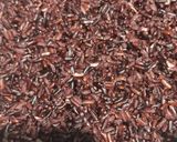 A picture of step 1 of Brown Rice Xoi Khuc (Eat Clean Version).