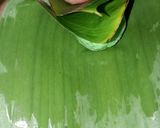 Foto langkah ke 6 dari resep Kue Bugis.