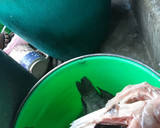Foto del paso 1 de la receta: Mojarra Empapelada a las Brazas
