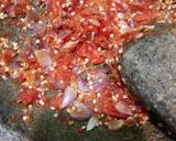 Foto langkah ke 2 dari resep Samcumi...sambal cumi.
