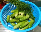 รูปขั้นตอนการทำที่ 7 ของ แตงกวาดอง (เปรี้ยวน้อย) - Half Sour Dill Pickles
