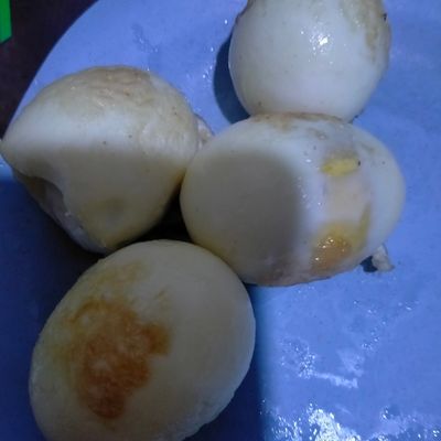 Langkah 13