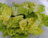 Foto langkah ke 1 dari resep KIMCHI Geotjeori.
