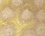 Foto langkah ke 5 dari resep Chicken Nugget Bubble Crumb.