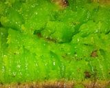 Foto langkah ke 5 dari resep Martabak manis Teflon Simple anti gagal lembut bersarang.