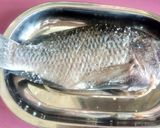 紅燒吳郭魚(附 蔥燒版)的食譜步驟1照片