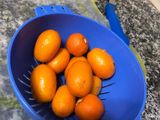 طريقة مربى البرتقال 🍊
