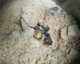 Peanut Butter வேர்க்கடலை வெண்ணெய் ரெசிபி ஸ்டேப் 1 புகைப்படம்