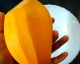 A picture of step 1 of Mango tandra.