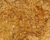 A picture of step 3 of Matar Pulao n Aaloo Dum.
