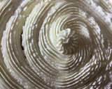 Foto del paso 13 de la receta: Tarta San Marcos