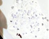 A picture of step 2 of Chocolate chip cup cakes.
