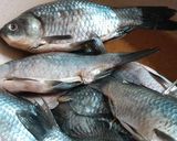 Hình bước làm 1 của món Cá diếc kho thơm chấm rau củ