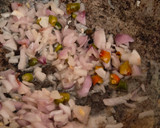 எக்கு பொடிமாஸ்(Egg podimaas) ரெசிபி ஸ்டேப் 1 புகைப்படம்