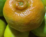 Foto del paso 1 de la receta: Jugo 🥤 de Mandarina de mi patio más fresco y natural imposible
