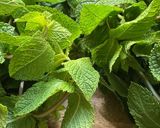 Une image de l'étape 7 de 🥄Confiture 🫙fraise 🍓 menthe🪴🍃.