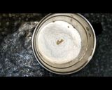 A picture of step 1 of Soft and sponge vanilla cake.