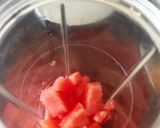 A picture of step 2 of Melon orange summer sip.