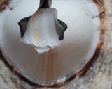 Foto langkah ke 3 dari resep Buko Pandan Kelapa Muda.