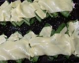 Foto del paso 4 de la receta: Pañuelitos espinacados, con jamón y muzza