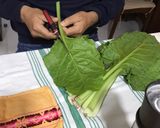 Foto del paso 3 de la receta: Lasaña vegana