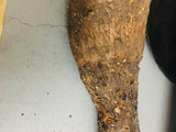 Deep Fry Yam
