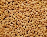 Bazsalikom pesto recept fázis 1 fotója