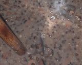 A picture of step 2 of Restaurant style Dal Makhani.