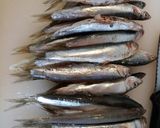 A picture of step 1 of Spaghetti alla pescatora povera. Poor fisherman's spaghetti.