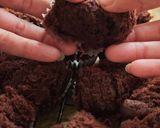 Foto langkah ke 6 dari resep 199. Bolu kukus coklat gluten free.