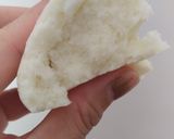 Foto langkah ke 11 dari resep Basic steamed bun/ mantou / bakpao.