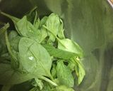 A picture of step 4 of Tri colour juice.