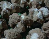 Foto langkah ke 6 dari resep Bolu kukus merekaaah.