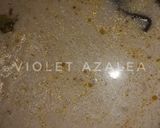 Foto langkah ke 3 dari resep Lodeh Tempe Pepaya Muda Spesial Hari Ibu ala Violet Azalea.