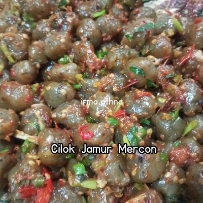 Langkah 8