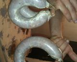 Foto del paso 5 de la receta: Chorizo de Nutria