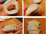 Homemade gyoza (japanese dumpling)