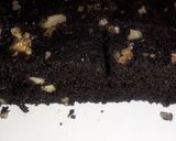 બ્રાઉની(Brownie Recipe in Gujarati) રેસીપી સ્ટેપ4ફોટો