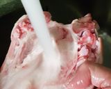 Foto del paso 1 de la receta Manos de cerdo guisadas