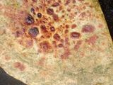 पालक पराठा (palak paratha recipe in Hindi)