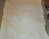 Foto del passaggio 12 della ricetta Impasto pizza, poolish 18h + autolisi 6h. Idratazione 80%