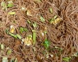 Gambar langkah 3 resipi Bihun Goreng Kicap.
