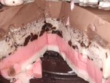 Puding susu 4 lapis vanilla-strowbery-oreo-coklat