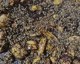 Foto del paso 5 de la receta: Arroz negro