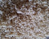 A picture of step 1 of Maggi Bhel.